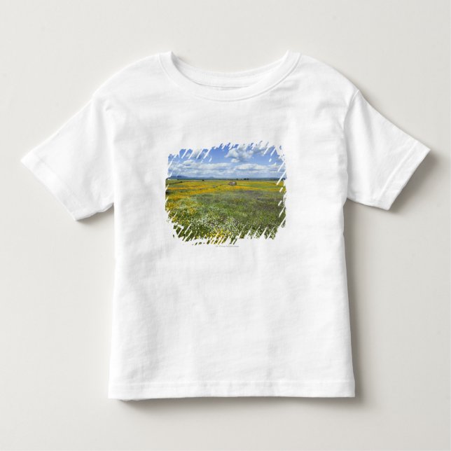 Camiseta De Bebé Campos en primavera cerca de Guadalupe (Anverso)