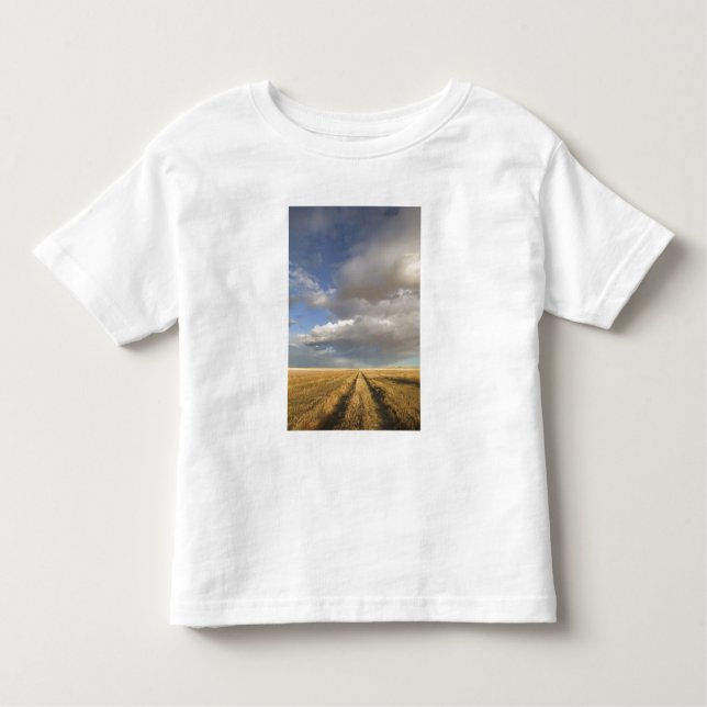 Camiseta De Bebé Canadá, Alberta, alzate: Paisaje con (Anverso)