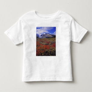 Camiseta De Bebé Canadá, Alberta, Banff NP. Los arándanos proporcio