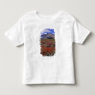 Camiseta De Bebé Canadá, Alberta, Banff NP. Los arándanos proporcio
