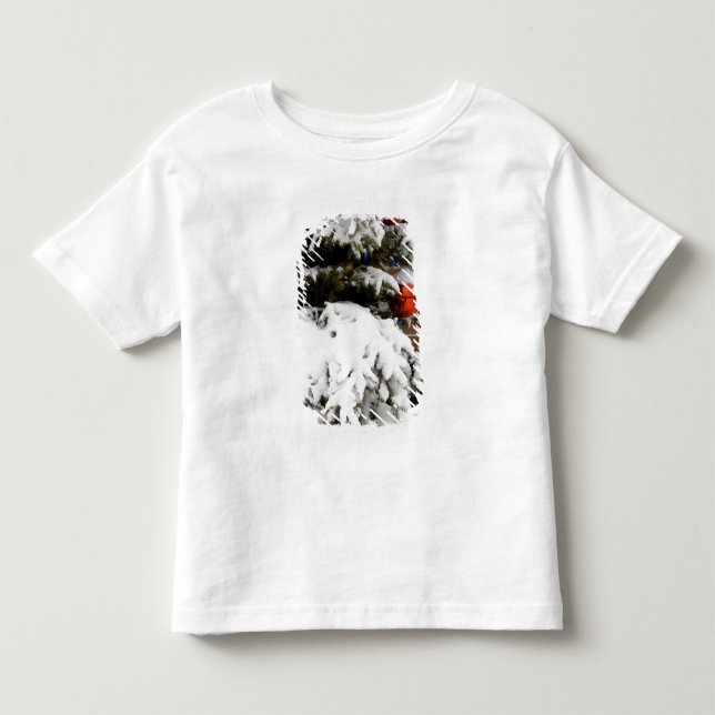 Camiseta De Bebé Canadá, Alberta, Jasper, Jasper NP. Fairmont 2 (Anverso)
