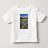 Canadá, Alberta, Montañas Rocosas, Banff Nacional