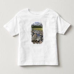 Camiseta De Bebé Canadá, Alberta, Montañas Rocosas, Banff Nacional