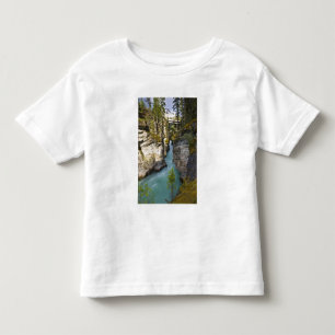 Camiseta De Bebé Canadá, Alberta, Parque Nacional Jasper, Athabasca
