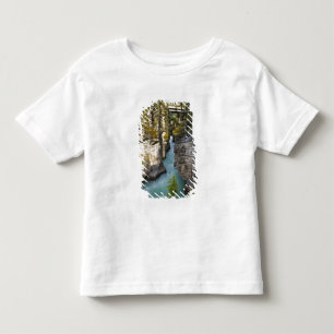 Camiseta De Bebé Canadá, Alberta, Parque Nacional Jasper, Athabasca