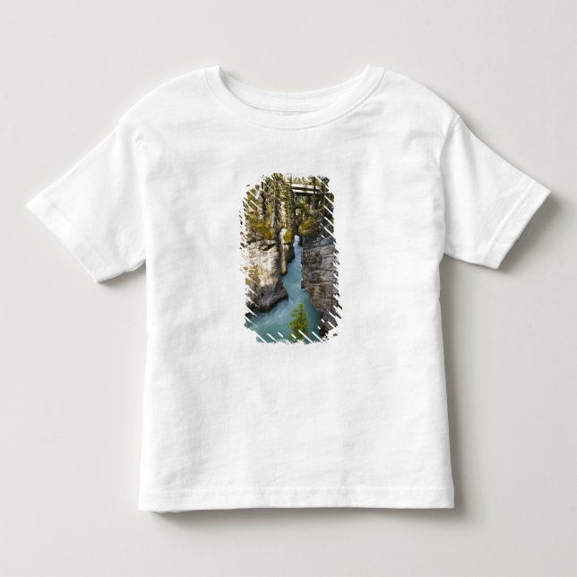 Camiseta De Bebé Canadá, Alberta, Parque Nacional Jasper, Athabasca (Anverso)