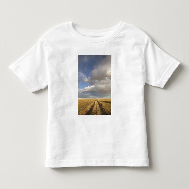 Camiseta De Bebé Canadá, Alberta, Stand Off: paisaje con (Anverso)