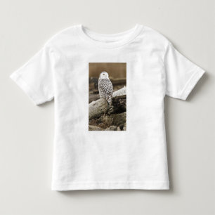 Camiseta De Bebé Canadá, Bahía Boundary, Búho Nival