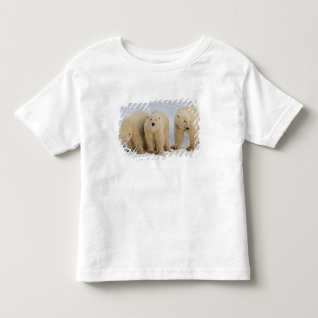 Camiseta De Bebé Canadá, Bahía de Hudson. Osa polar con dos (Anverso)