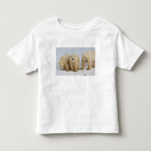 Camiseta De Bebé Canadá, Bahía Hudson. Madre de oso polar con dos