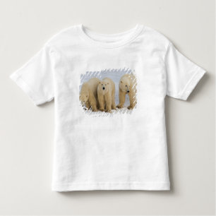 Camiseta De Bebé Canadá, Bahía Hudson. Madre de oso polar con dos