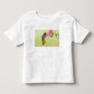 Camiseta De Bebé Canadá, Columbia Británica, Colibrí Rufo