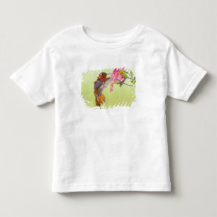 Camiseta De Bebé Canadá, Columbia Británica, Colibrí Rufo