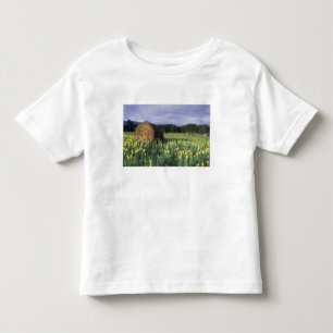 Camiseta De Bebé Canadá, Columbia Británica, Kitwanga. Amarillo