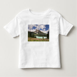 Camiseta De Bebé Canadá, Columbia Británica, Parque Nacional Yoho.3