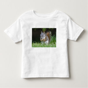 Camiseta De Bebé Canadá, Columbia Británica, Red Squirrel Pine