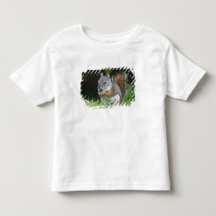 Camiseta De Bebé Canadá, Columbia Británica, Red Squirrel Pine