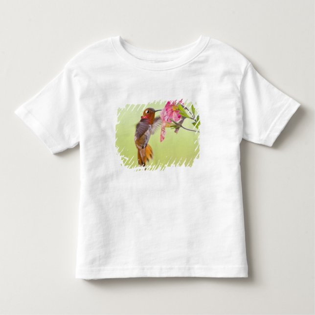 Camiseta De Bebé Canadá, Columbia Británica, Rufous Hummingbird (Anverso)