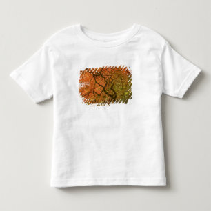 Camiseta De Bebé CANADÁ, Columbia Británica, Victoria. Otoño 2