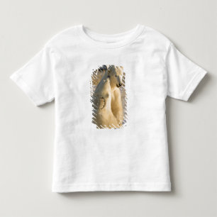 Camiseta De Bebé Canadá, Manitoba, bahía de Hudson, Churchill.