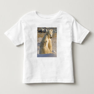 Camiseta De Bebé Canadá, Manitoba, bahía de Hudson, Churchill.