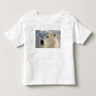 Camiseta De Bebé Canadá, Manitoba, Bahía de Hudson Oso polar