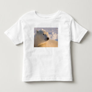 Camiseta De Bebé Canadá, Manitoba, Bahía de Hudson Oso polar
