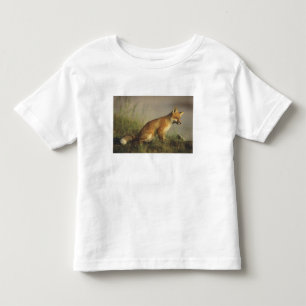 Camiseta De Bebé Canadá, Quebec. Cachorro de zorro rojo al amanecer