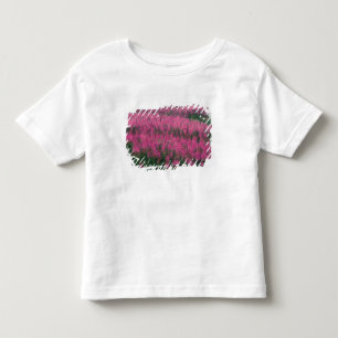 Camiseta De Bebé Canadá, Quebec, Gaspe. Flores púrpuras de Lythrum,