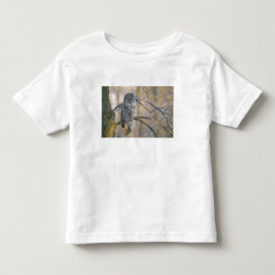 Camiseta De Bebé Canadá, Quebec. Gran búho gris posado en un árbol