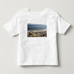 Camiseta De Bebé Canadá, Quebec. Tren de VIA Rail Canada El