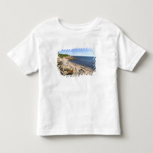 Camiseta De Bebé Canadá, Quebec. Tren de VIA Rail Canada El 2
