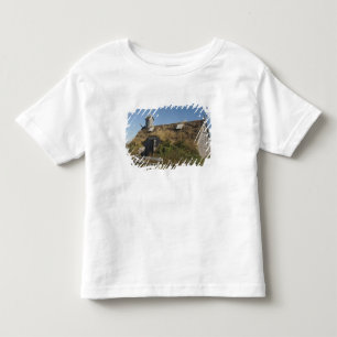 Camiseta De Bebé Canadá, Terranova y Labrador, L'Anse Aux