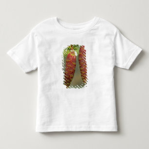 Camiseta De Bebé Canadá, Yukón, conos de abeto negro