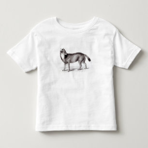 Camiseta De Bebé Canis Antarcticus