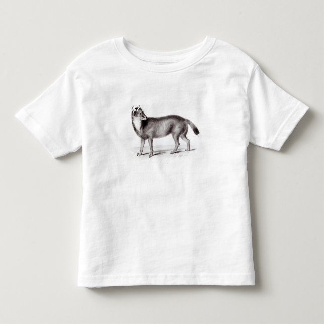 Camiseta De Bebé Canis Antarcticus (Anverso)