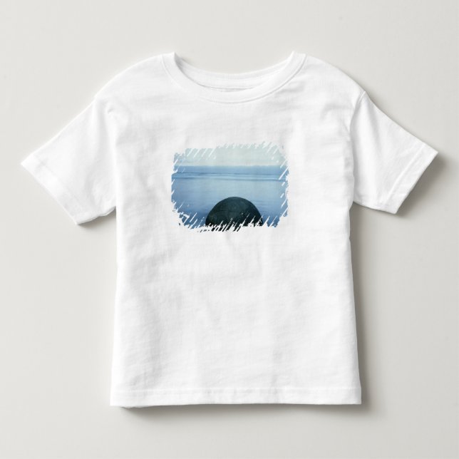 Camiseta De Bebé Cantos rodados de Moeraki (Anverso)