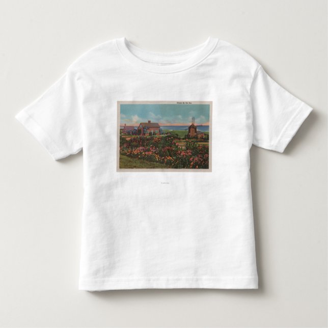 Camiseta De Bebé Cape Cod, MassachusettsHomes por la opinión del (Anverso)