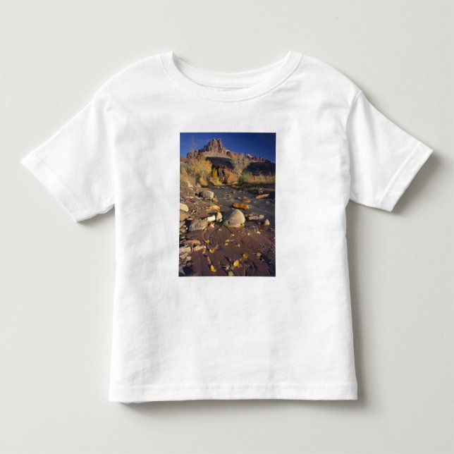 Camiseta De Bebé CAPITOL REEF PARK NATIONAL, UT, EE.UU., Cottonwood (Anverso)