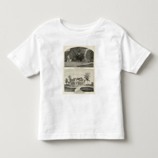 Camiseta De Bebé Capitolio del estado, edificio del estado del NH,