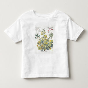 Camiseta De Bebé Capuchinas y margaritas: 1.Nasturtium Indicum; 2.B