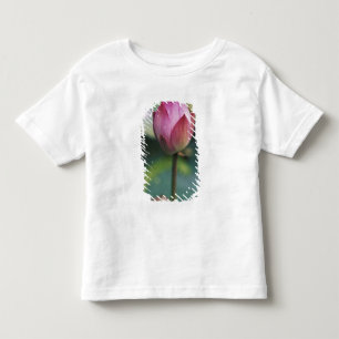 Camiseta De Bebé Capullo de flor de loto, Hangzhou, provincia de Zh