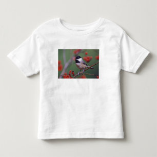 Camiseta De Bebé Carbonero de Carolina
