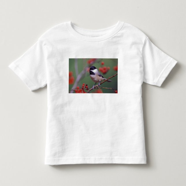 Camiseta De Bebé Carbonero de Carolina (Anverso)
