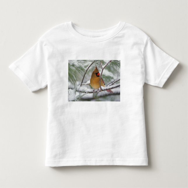 Camiseta De Bebé Cardenal norte hembra en pino nevado, (Anverso)