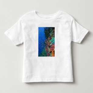 Camiseta De Bebé Cardúmenes de doncellas de mar (Pseudanthias
