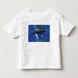 Camiseta De Bebé Caribe, archipiélago de las Antillas Mayores,