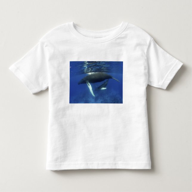 Camiseta De Bebé Caribe, archipiélago de las Antillas Mayores, (Anverso)