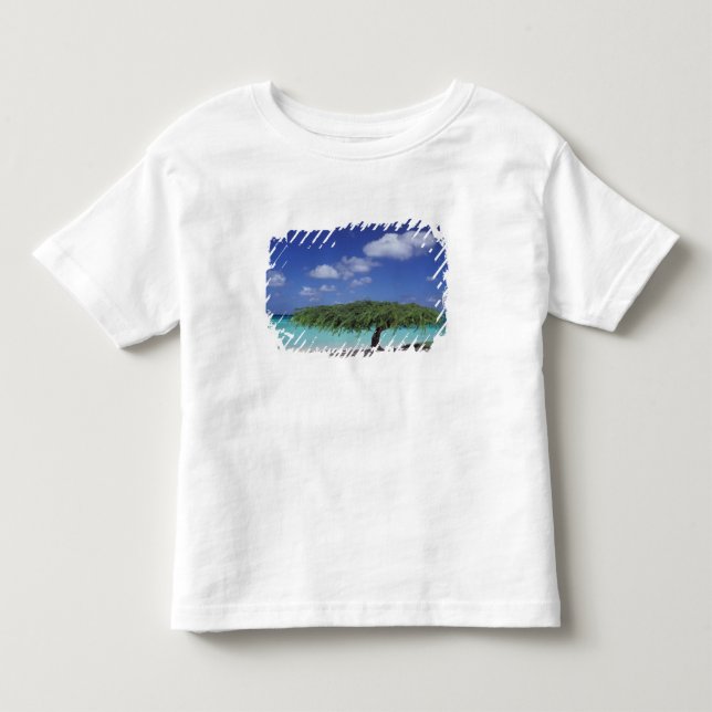 Camiseta De Bebé Caribe, Aruba. Playa Eagle (Anverso)