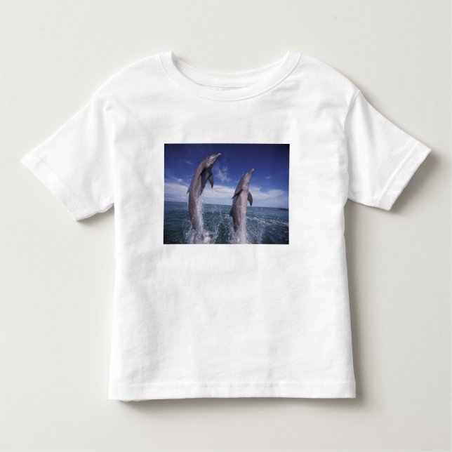 Camiseta De Bebé Caribe, delfines botánicos Tursiops (Anverso)